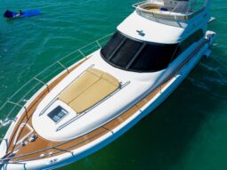 SeaRay Sedan FlyBridge